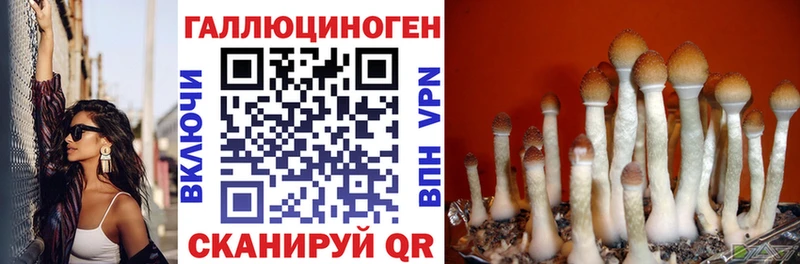 Галлюциногенные грибы MAGIC MUSHROOMS Высоковск